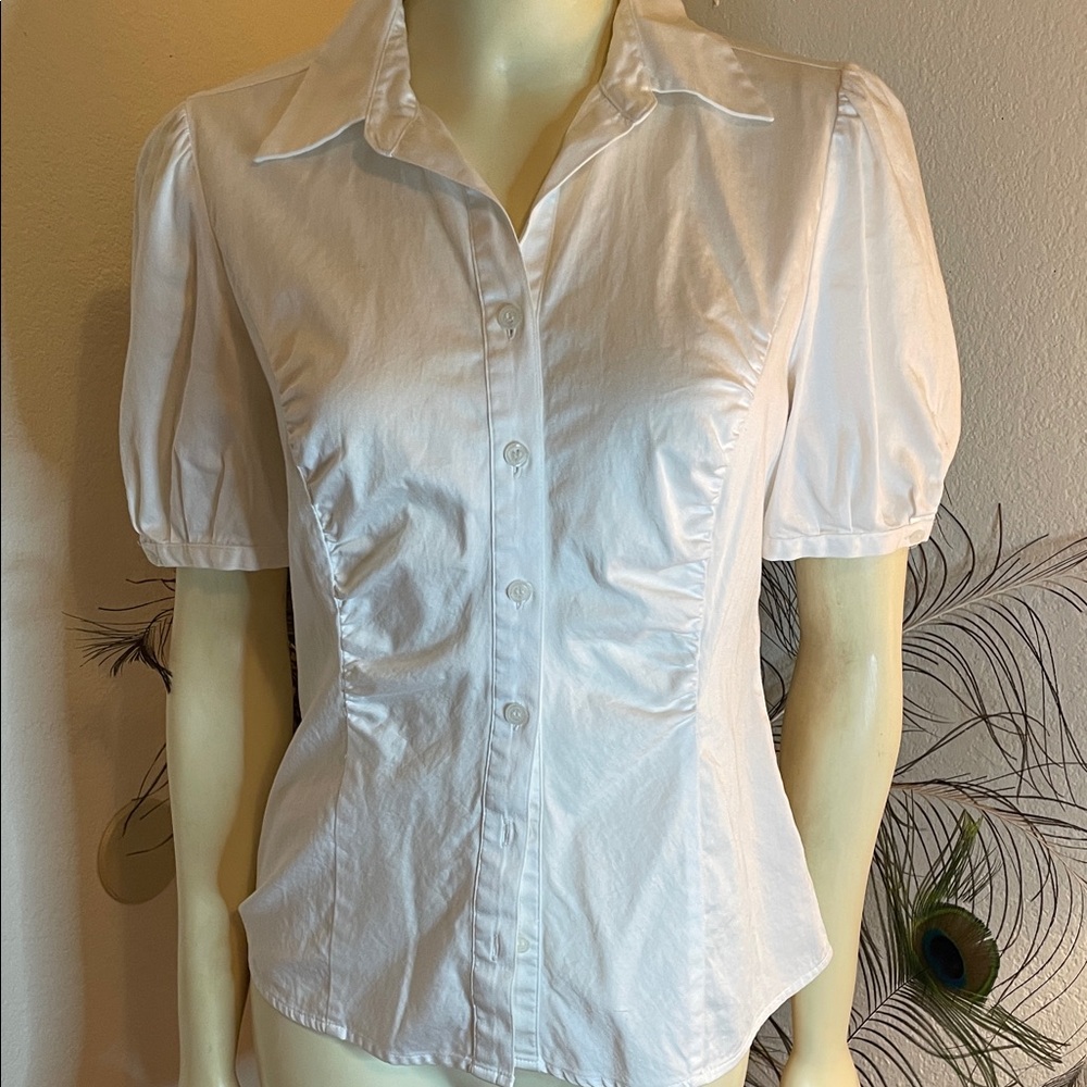The Limited classic white short sleeve button down shirt